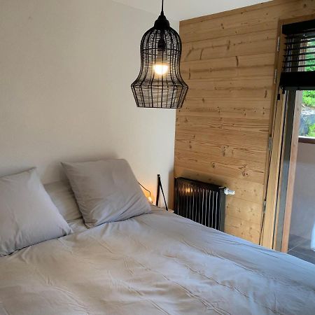 Appartement 6 Pers Avec Balcons, Garage Et Local A Ski - Fr-1-198-238 شاتيل المظهر الخارجي الصورة