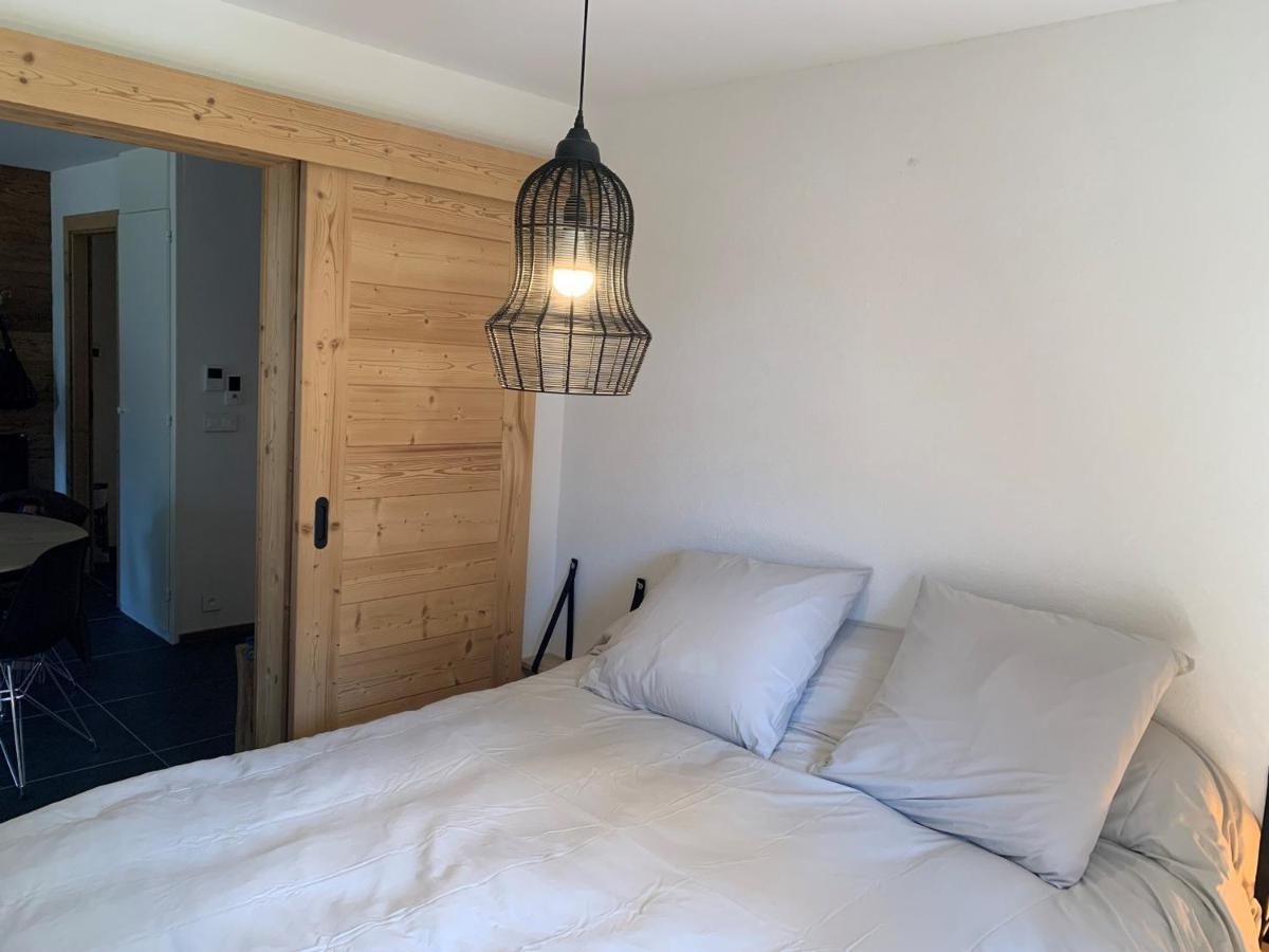 Appartement 6 Pers Avec Balcons, Garage Et Local A Ski - Fr-1-198-238 شاتيل المظهر الخارجي الصورة